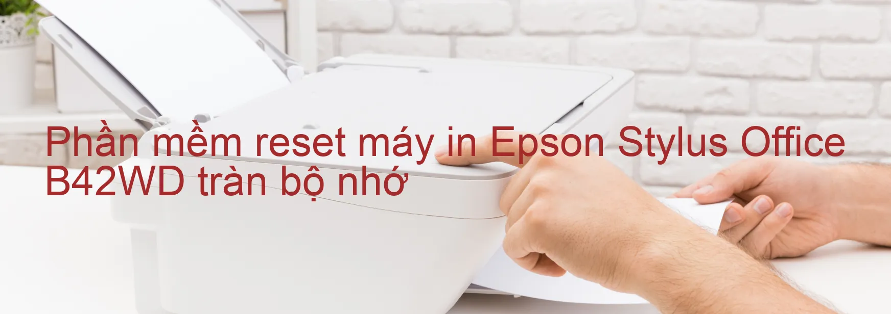 phan-mem-reset-may-in-epson-stylus-office-b42wd-tran-bo-nho.webp