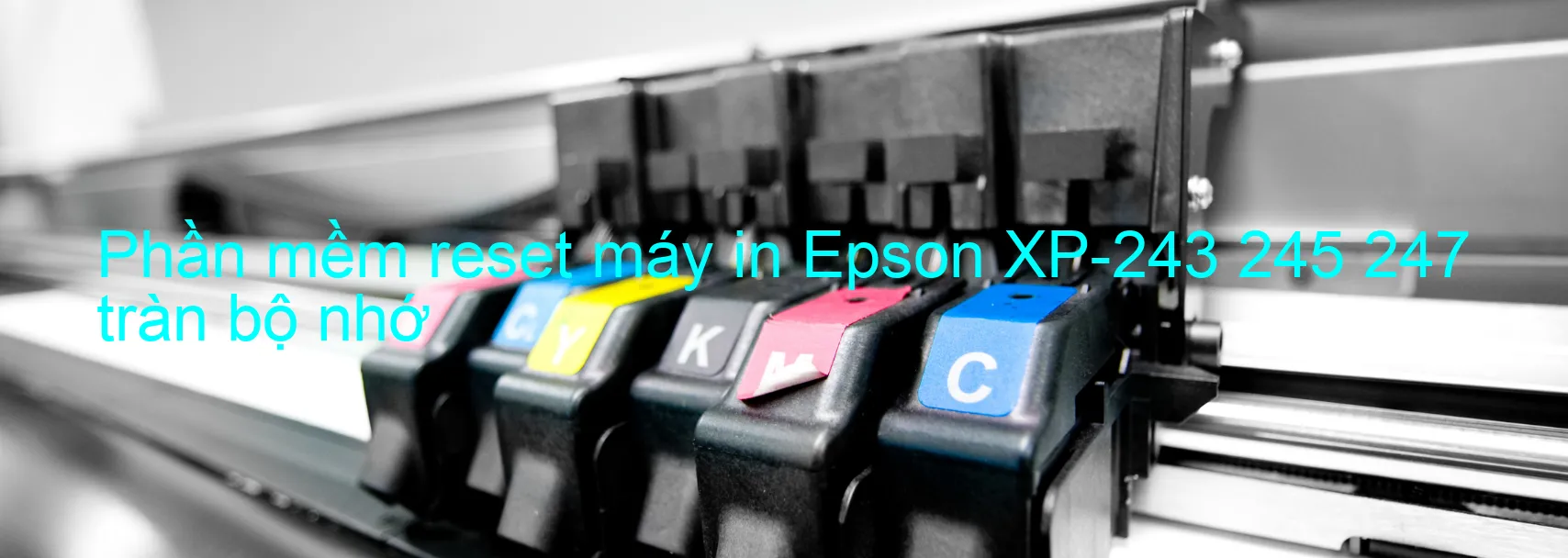 phan-mem-reset-may-in-epson-xp-243-245-247-tran-bo-nho.webp